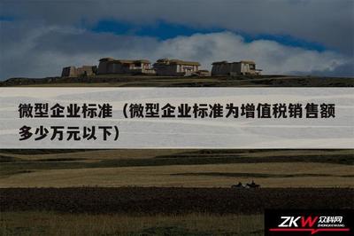 微型企業(yè)標(biāo)準(zhǔn)(微型企業(yè)標(biāo)準(zhǔn)為增值稅銷售額多少萬(wàn)元以下)