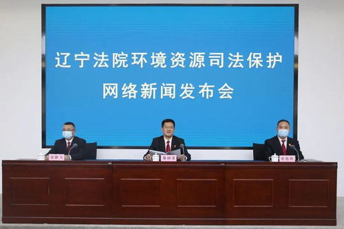 胸懷 國之大者 守護振興發展 高顏值 遼寧法院以環境資源審判助力生態文明建設